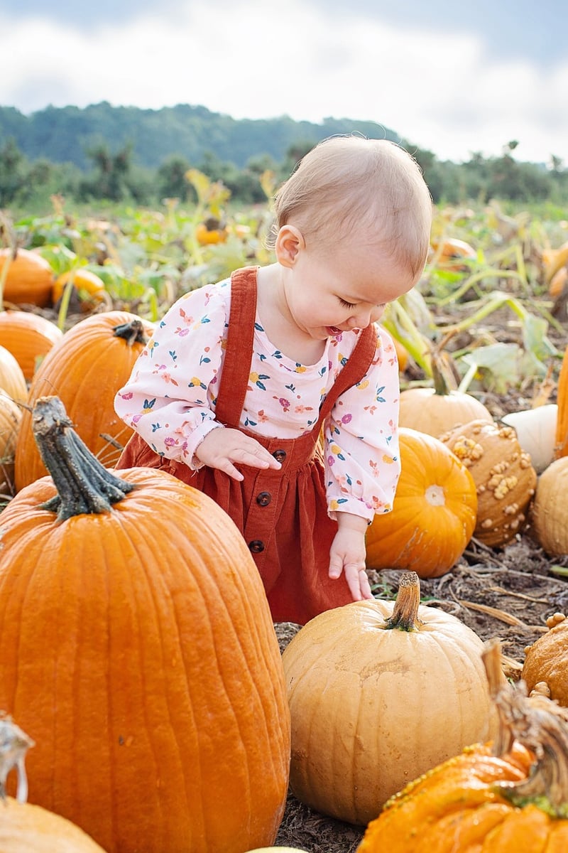 Fresh Pumpkins